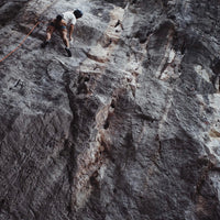 Poda Project Shorts