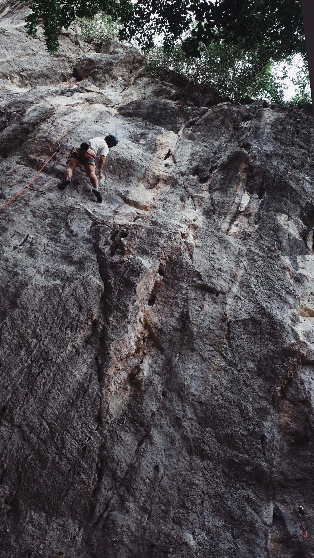 Poda Project Shorts